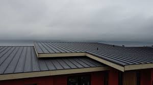 Best Rubber Roofing (EPDM, TPO)  in Snowmass Village, CO